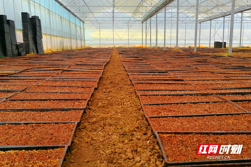 微信图片_20260320163529.jpg 微信图片_20260320163529.jpg