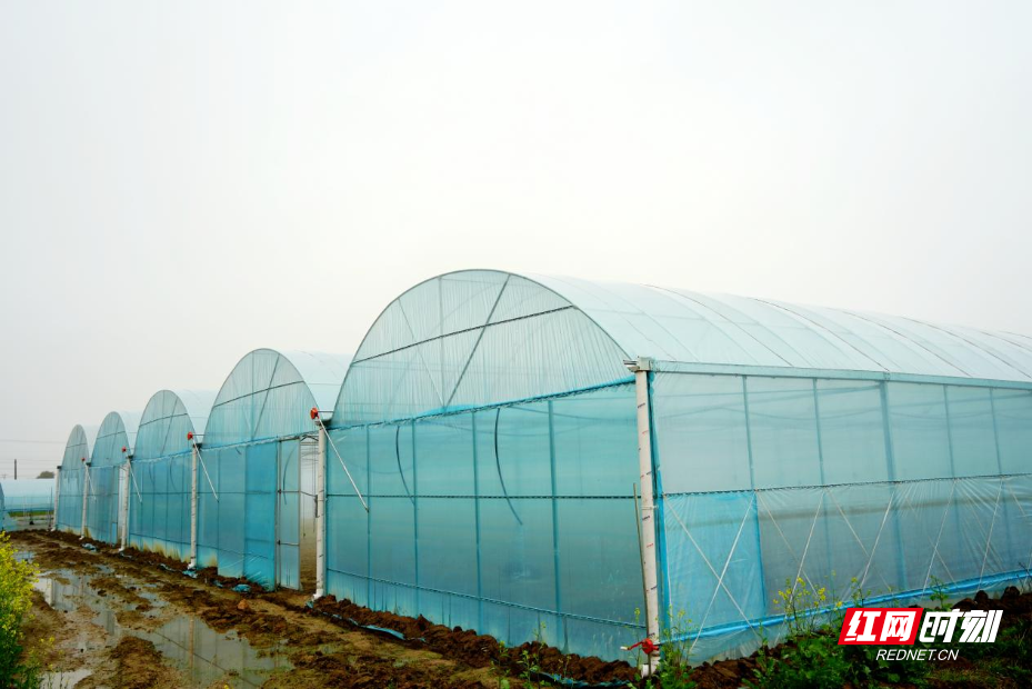 图片6.png 图片6.png