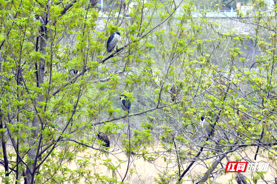 DSC_4033.JPG DSC_4033.JPG