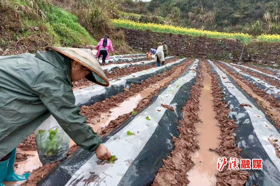 潭溪镇春耕生产3月20日.jpg修改.jpg
