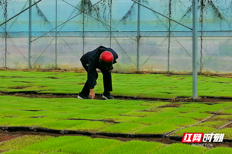 微信图片_20260320162906.jpg 微信图片_20260320162906.jpg