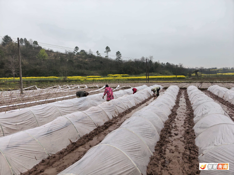 WechatIMG19.jpeg WechatIMG19.jpeg