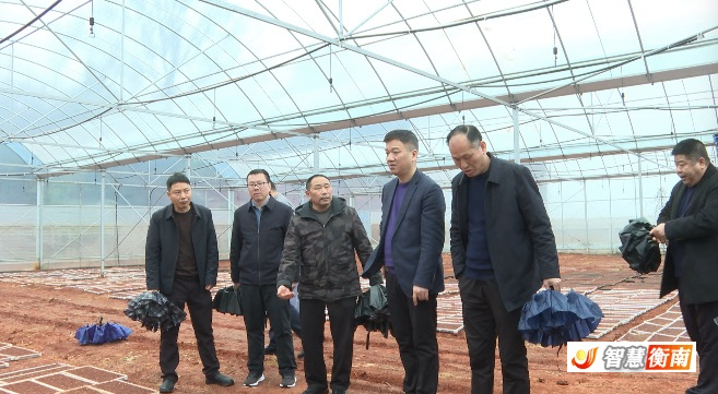 WechatIMG3.jpeg WechatIMG3.jpeg