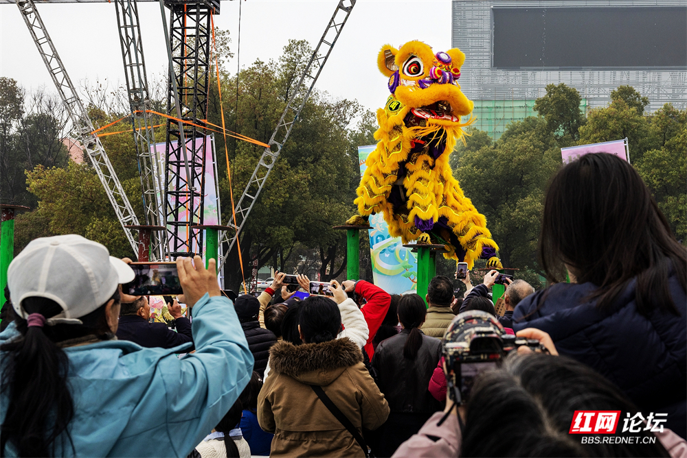 【每日一图@湖南】坐标岳阳市南湖新区，二月二遇见“龙抬头”