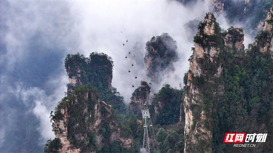 云雾绕峰林 张家界天子山索道现人间仙境