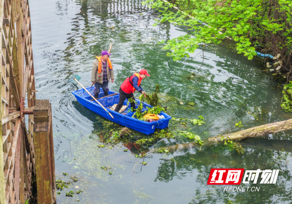 2026年3月22日，在湖南省永州市道县梅花镇贵头村，志愿者在清理水上垃圾、漂浮物。 (3).jpg