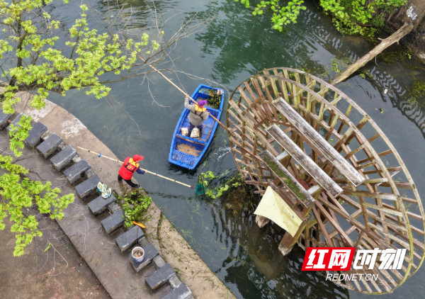 2026年3月22日，在湖南省永州市道县梅花镇贵头村，志愿者在清理水上垃圾、漂浮物。 (4).jpg