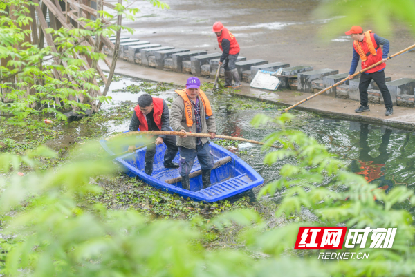 2026年3月22日，在湖南省永州市道县梅花镇贵头村，志愿者在清理水上垃圾、漂浮物。 (6).jpg