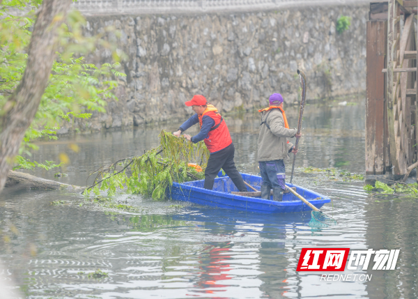 2026年3月22日，在湖南省永州市道县梅花镇贵头村，志愿者在清理水上垃圾、漂浮物。 (9).jpg