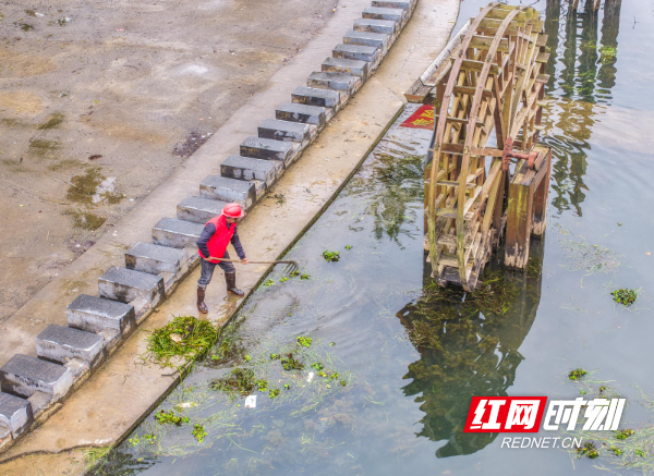 2026年3月22日，在湖南省永州市道县梅花镇贵头村，志愿者在清理水上垃圾、漂浮物。 (11).jpg