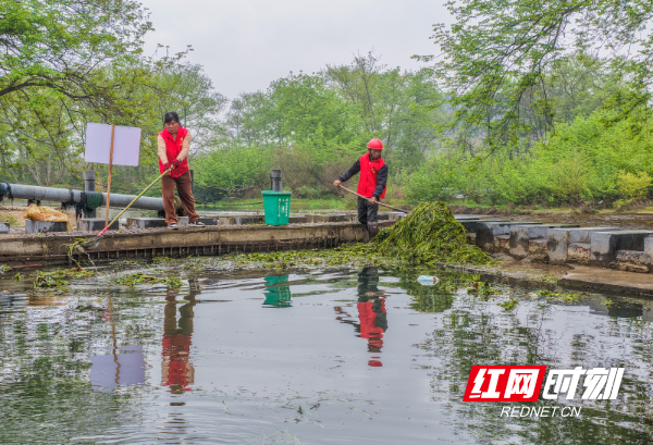 2026年3月22日，在湖南省永州市道县梅花镇贵头村，志愿者在清理水上垃圾、漂浮物。 (12).jpg