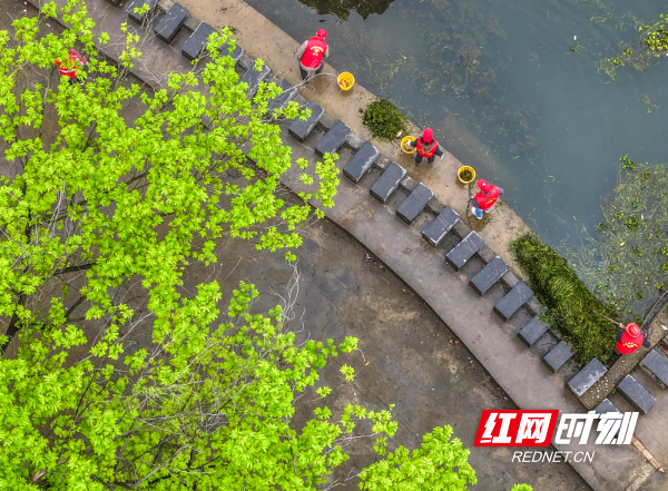 2026年3月22日，在湖南省永州市道县梅花镇贵头村，志愿者在清理水上垃圾、漂浮物。 (15).jpg