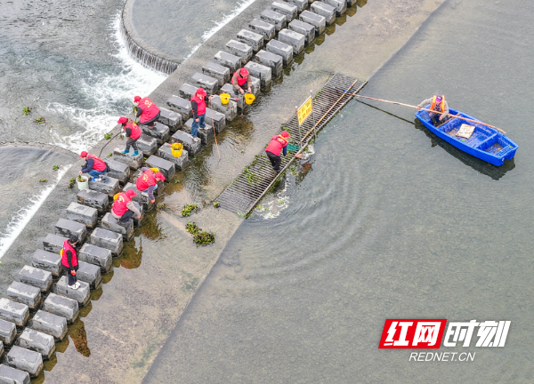 2026年3月22日，在湖南省永州市道县梅花镇贵头村，志愿者在清理水上垃圾、漂浮物。 (18).jpg