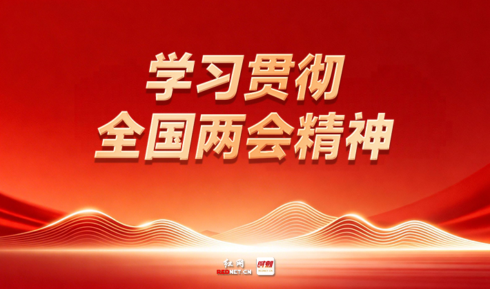 专题丨学习贯彻全国两会精神