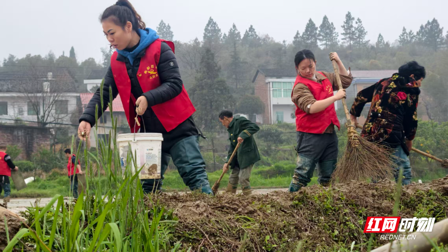 微信图片_20260322102642_3689_12.jpg 微信图片_20260322102642_3689_12.jpg