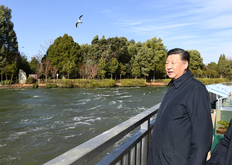 2020年1月20日下午，习近平总书记在云南昆明滇池星海半岛生态湿地考察调研。