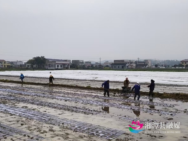 微信图片_20260323111339_2_8.jpg 微信图片_20260323111339_2_8.jpg