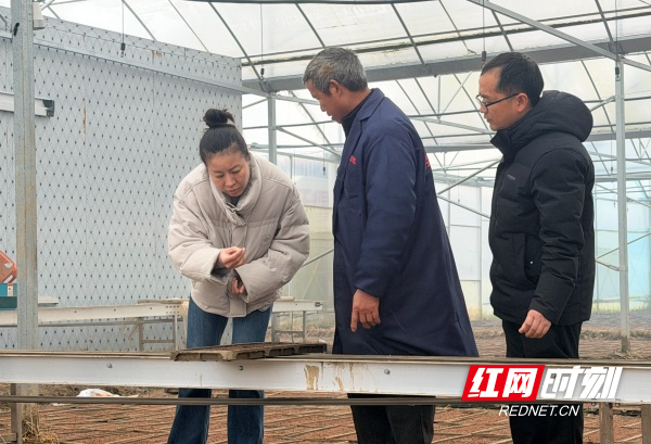 IMG_2274 2_副本.jpg