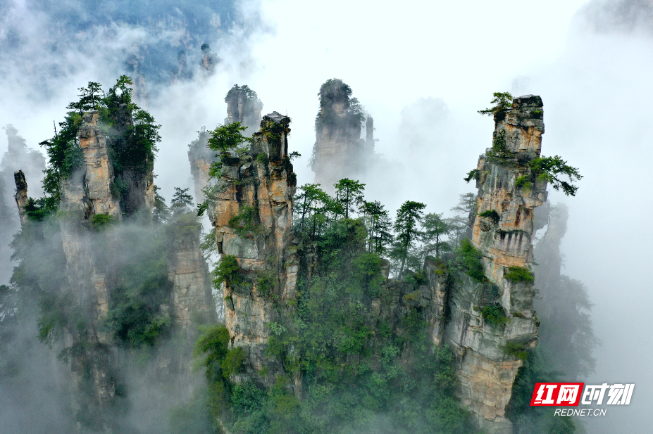 张家界春色四重奏②｜峰林醒春，武陵源的春天是一场流动的仙境