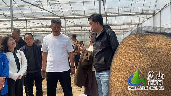 我县送技下乡到田间 解锁粮食增产“密码”.jpg