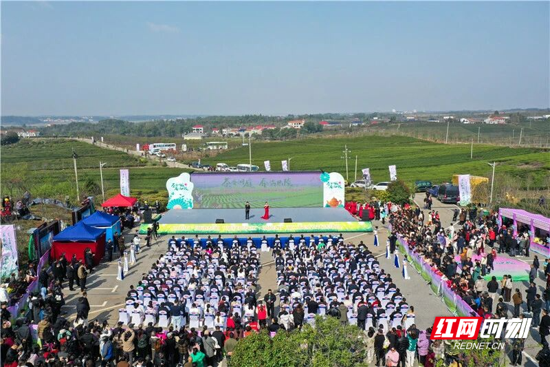 茶文化节图2.jpg 茶文化节图2.jpg