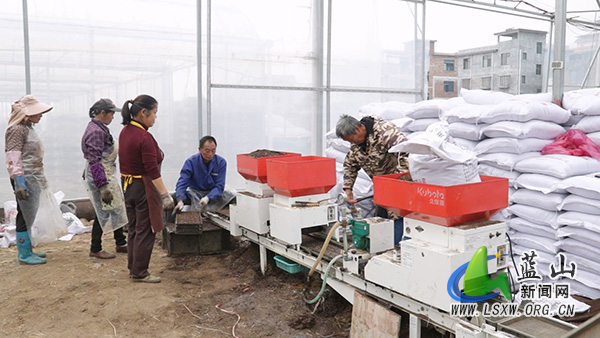 我县人勤春早育秧忙 双模式护航粮满仓2.jpg