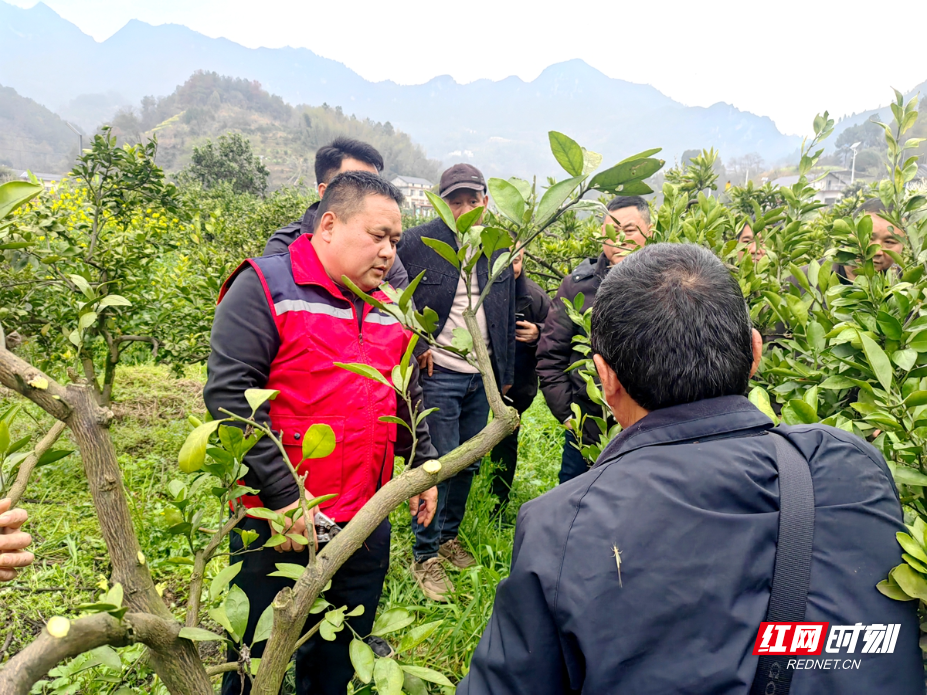 2fc42ed275f01f6f8ab24c8977692401.jpg 2fc42ed275f01f6f8ab24c8977692401.jpg