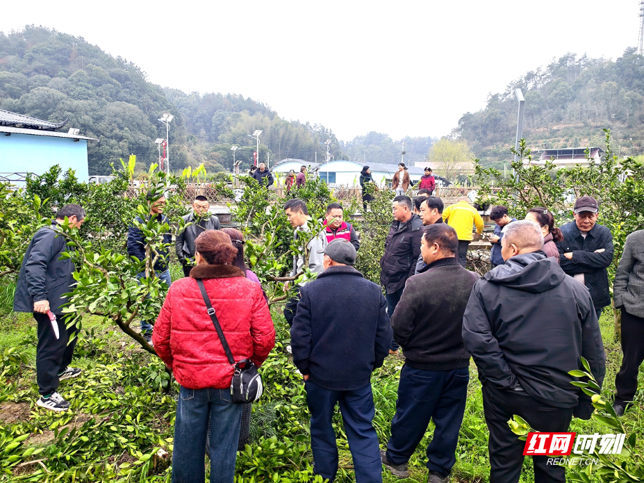 839ea74b759d1ebdbfa1cd8a18d0087c.jpg 839ea74b759d1ebdbfa1cd8a18d0087c.jpg