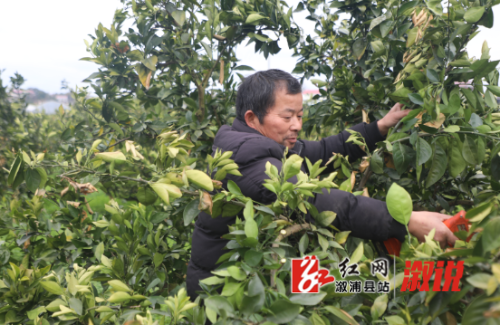 QQ_1774314980314.png QQ_1774314980314.png