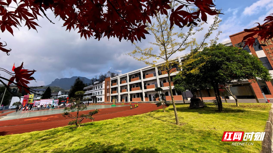 图片1.png 图片1.png