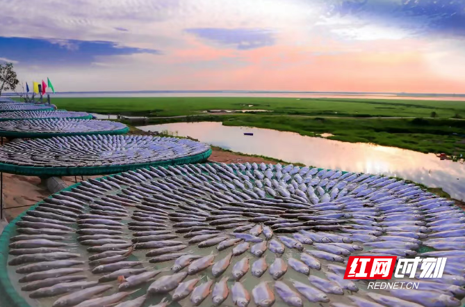 微信图片_20260326120650_449_3.png 微信图片_20260326120650_449_3.png