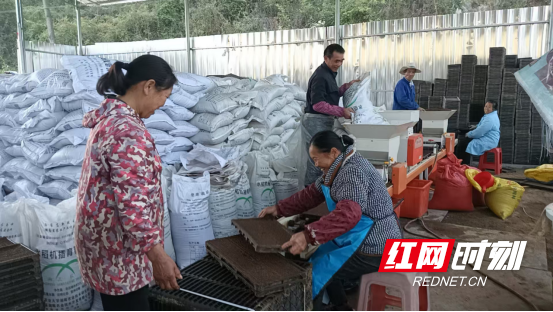 宜章县:智慧农机备春耕 科技赋能保丰收543.png 宜章县:智慧农机备春耕 科技赋能保丰收543.png