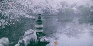 【赴春之约】疏影横斜：三月的镜花水月