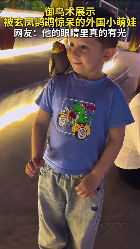 御鸟术惊呆外国小萌娃