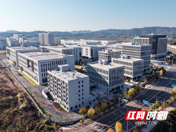 微信图片_20260326144336_2258_4.jpg 微信图片_20260326144336_2258_4.jpg