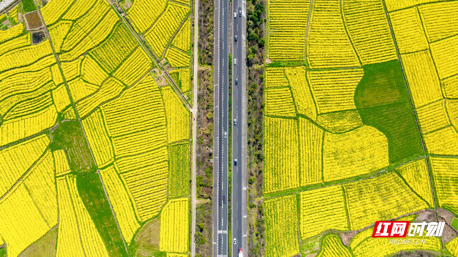 054e8d2badc9a8a7740a0c128452519a.jpg 054e8d2badc9a8a7740a0c128452519a.jpg