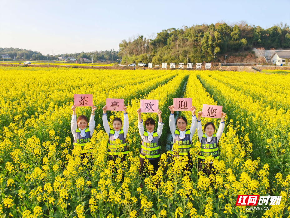 茶亭花海节.jpg 茶亭花海节.jpg