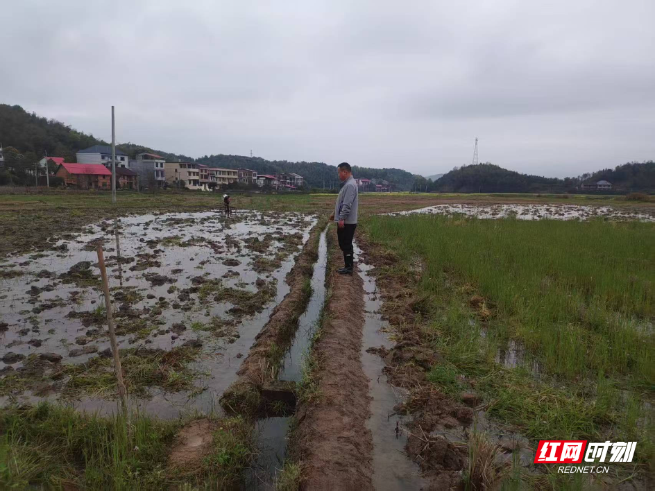 微信图片_20260326153731_524_18.jpg 微信图片_20260326153731_524_18.jpg