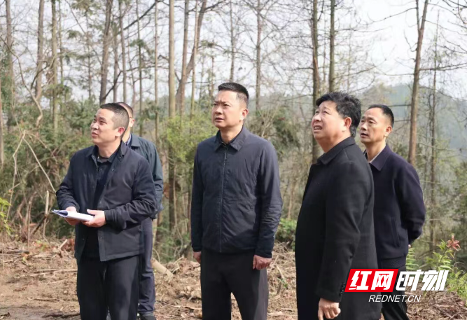 微信图片_20260326120027_443_3.png 微信图片_20260326120027_443_3.png