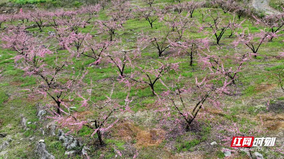 418546db0ff9bcfbea3514a01e86626d.jpg 418546db0ff9bcfbea3514a01e86626d.jpg