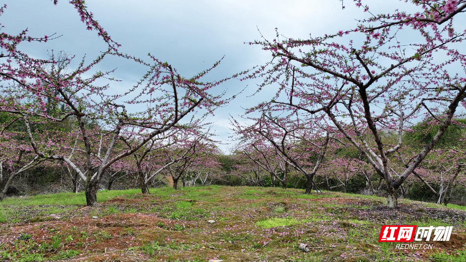 6ddbbcb43dab83147bfeeedc70724186.jpg 6ddbbcb43dab83147bfeeedc70724186.jpg