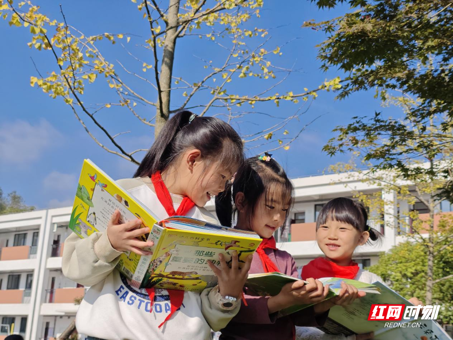 图片2.png 图片2.png