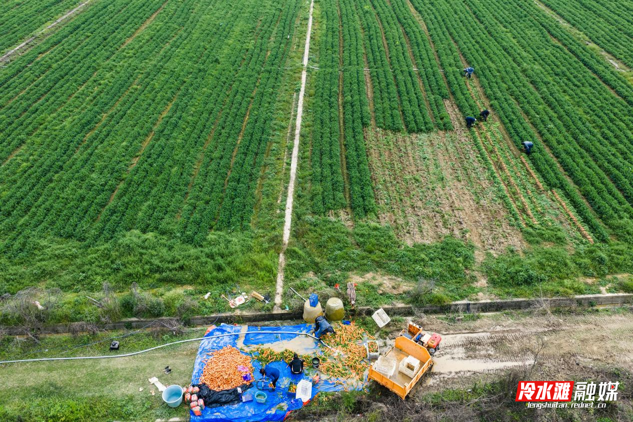 图片1.png 图片1.png