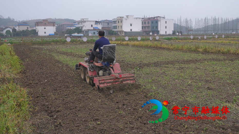 菜园7.png 菜园7.png