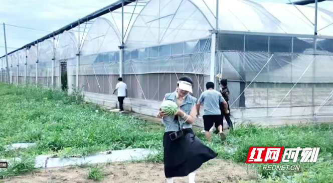 微信图片_20260326120628_446_3.png 微信图片_20260326120628_446_3.png