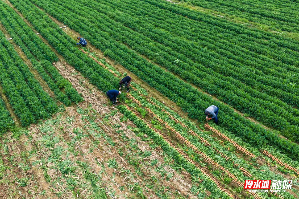 图片2.png 图片2.png