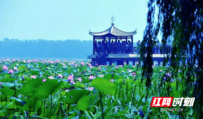 微信图片_20260326120643_448_3.png 微信图片_20260326120643_448_3.png