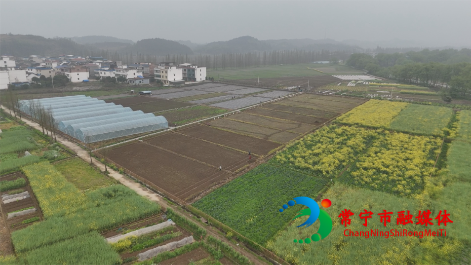 菜园1.jpg 菜园1.jpg