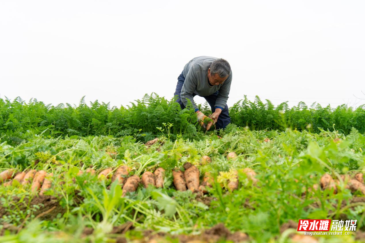 图片3.png 图片3.png