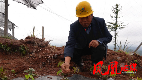 凤凰县腊尔山镇科茸村：产业发展兴乡村 深[00_04_20][20260327-104640].jpg